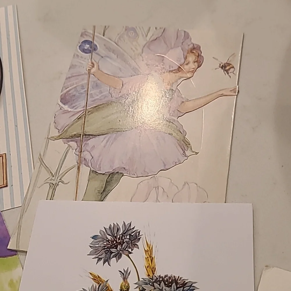 Card Postcard Bundle